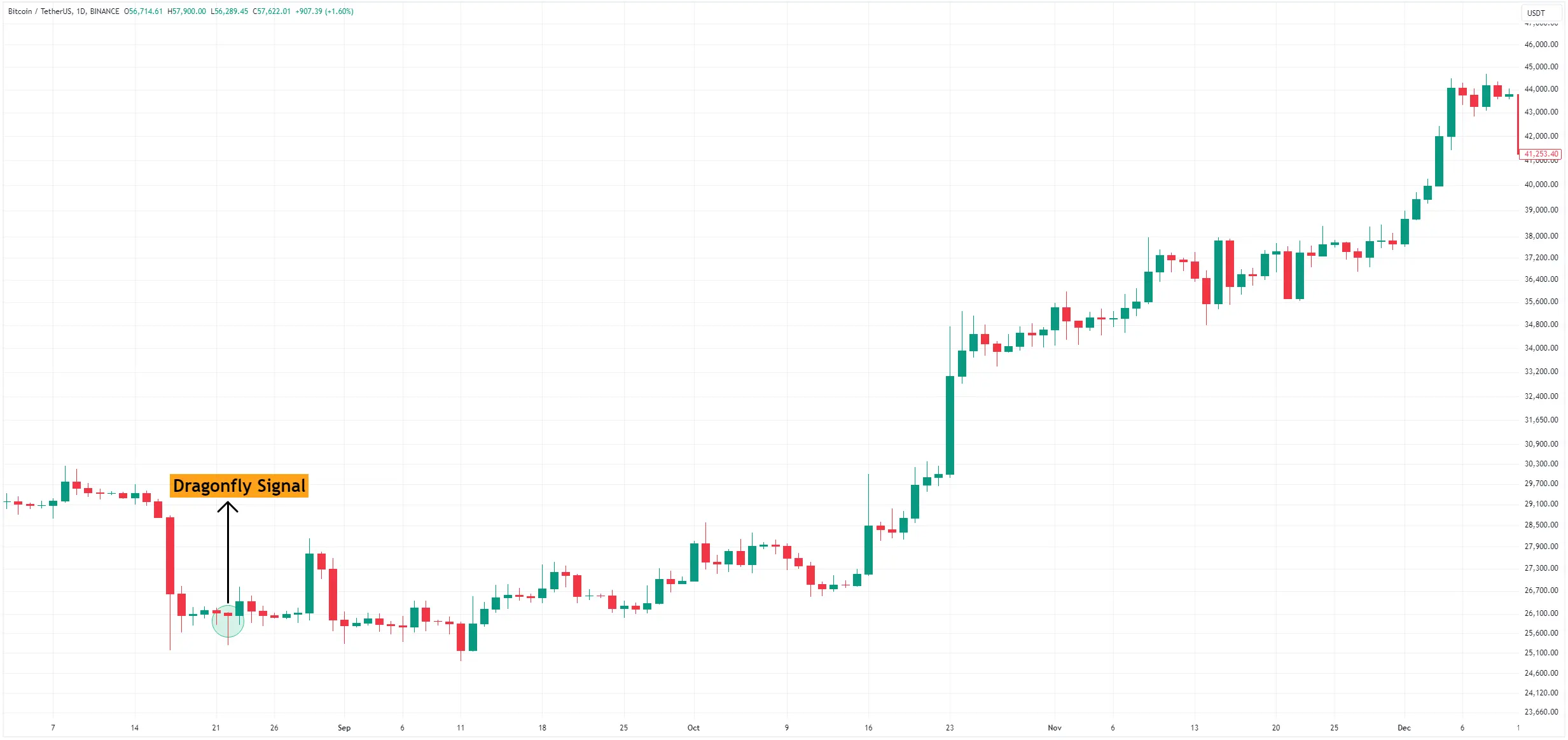 Bitcoin Shakeout