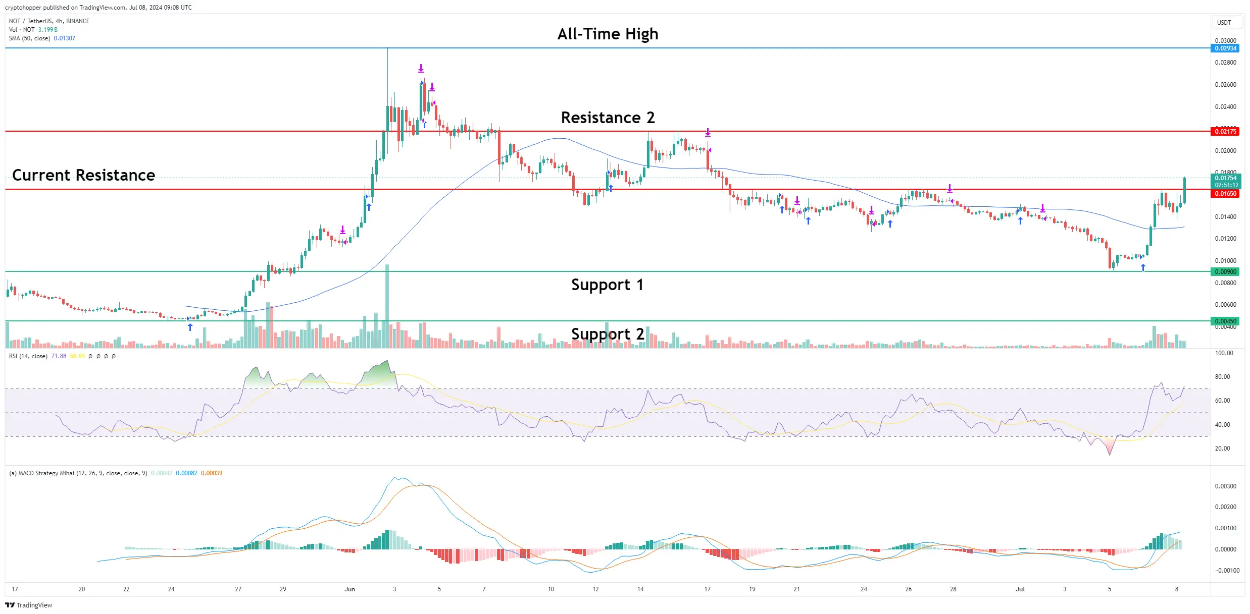 Notcoin Resilience