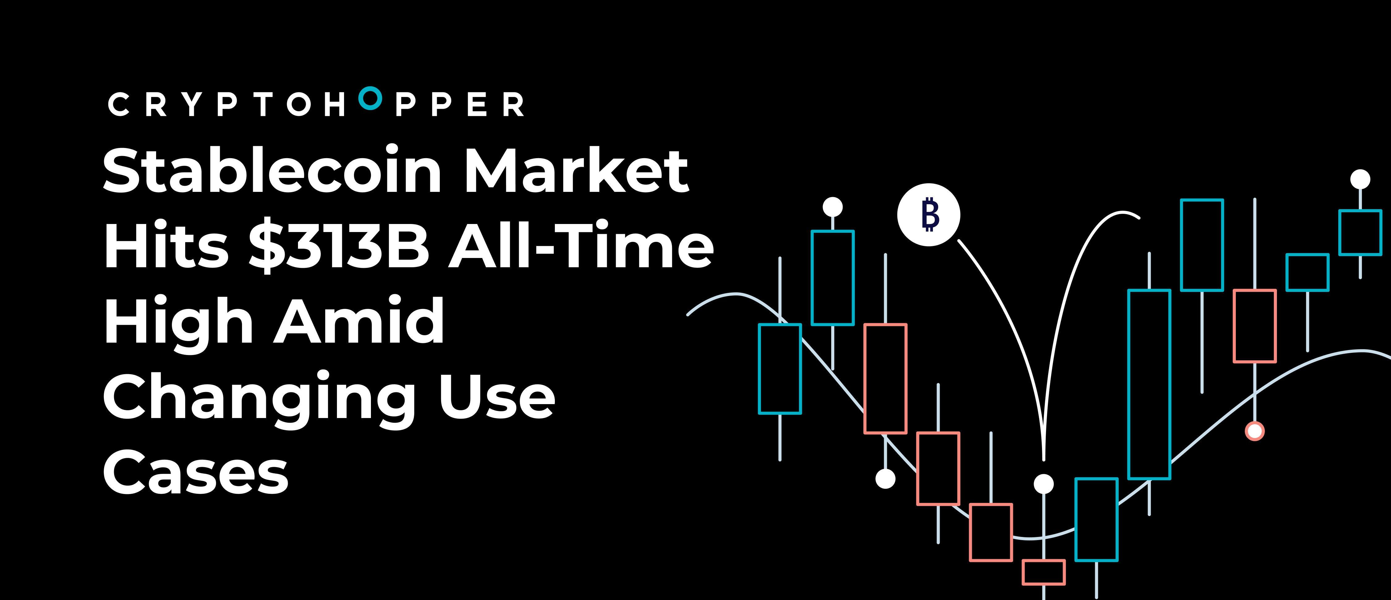 Stablecoin Market Hits $313B All-Time High Amid Changing Use Cases