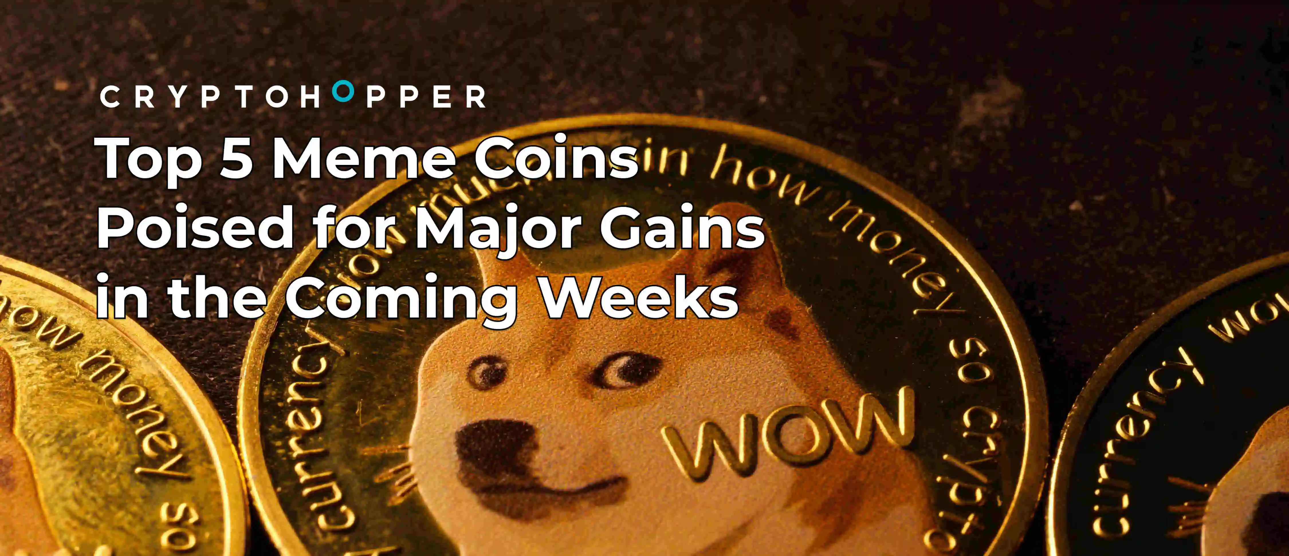 Top 5 Meme Coins Poised for Major Gains in the Coming Weeks