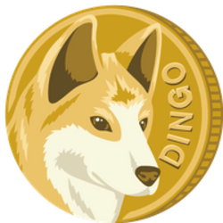 DINGO