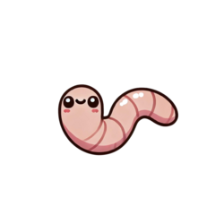 WORM