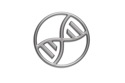 XDNA