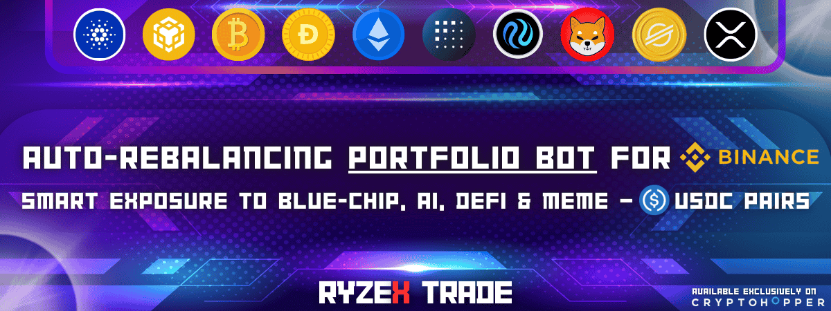 Portfolio Bot | Binance USDC - RyzeX