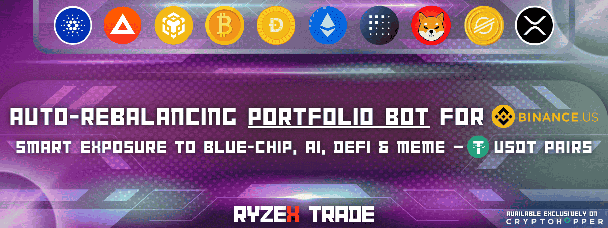 Portfolio Bot | Binance.us USDT - RyzeX