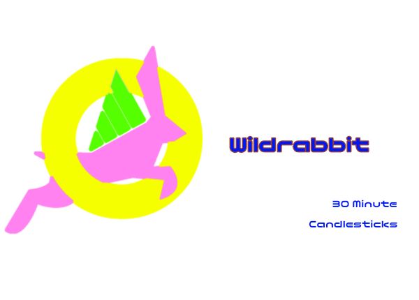 Wildrabbit.30