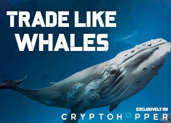 Trade Like Whales - Wolf AI