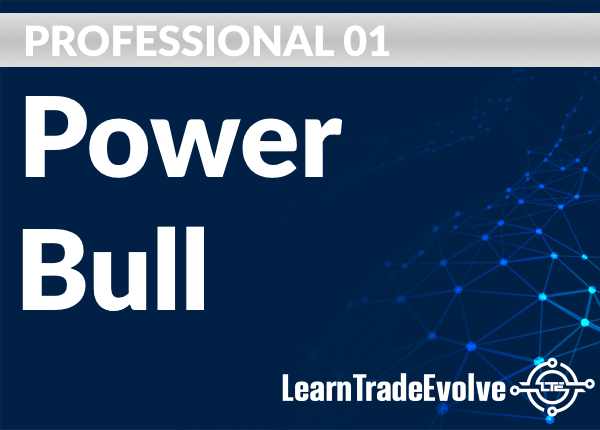 Professional 01 - Power Bull