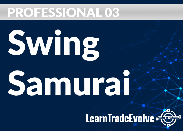 Professional 03 - Swing Samurai
