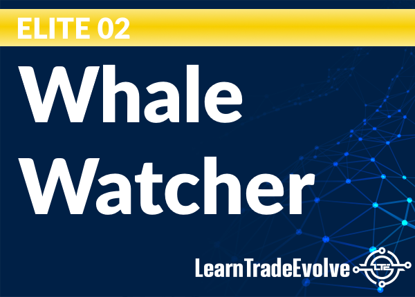 Elite 02 - Whale Watcher
