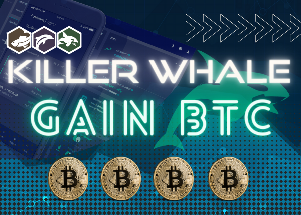Killer Whale Gain BTC Copy Bot