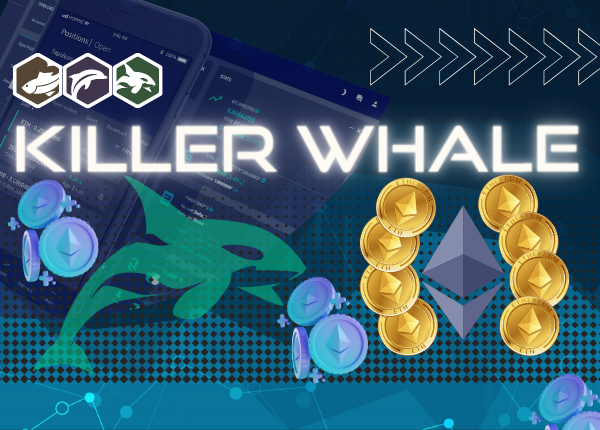 Killer Whale Gain ETH Copy Bot