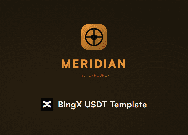 Meridian BingX USDT Template