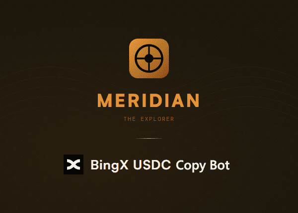Meridian BingX USDC Copy Bot