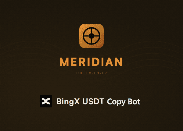 Meridian BingX USDT Copy Bot