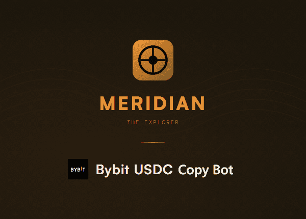 Meridian ByBit USDC Copy Bot