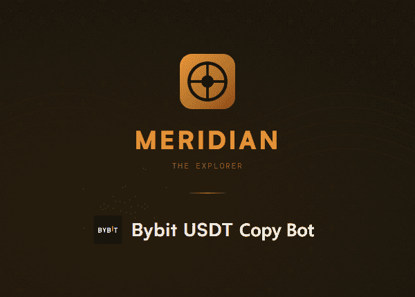 Meridian ByBit USDT Copy Bot