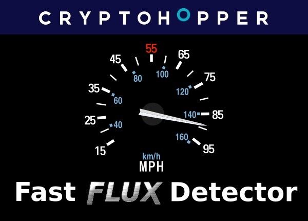 Fast Flux Detector
