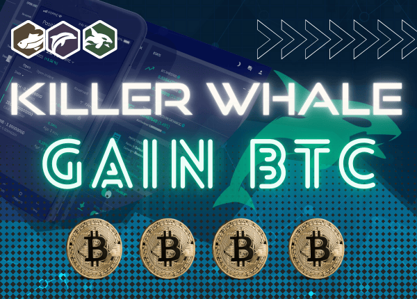 Killer Whale Gain BTC 