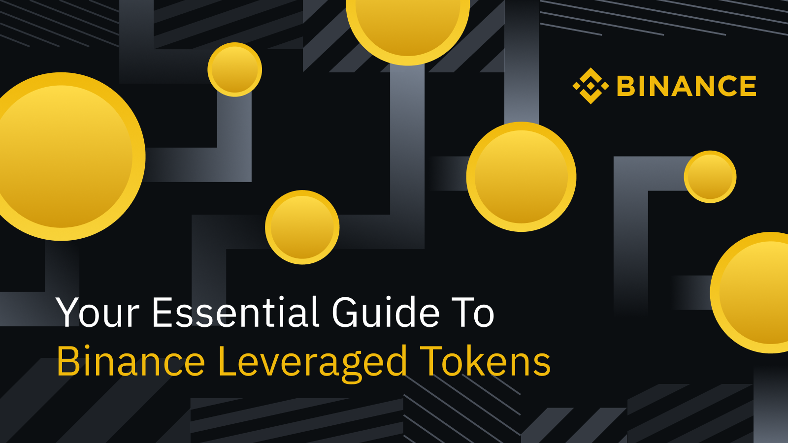 Your Essential Guide To Binance Leveraged Tokens