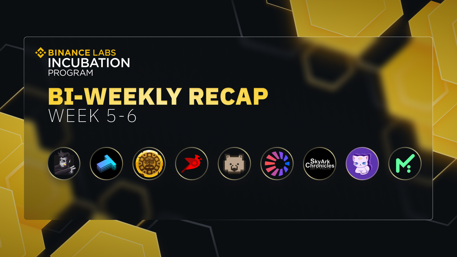 Season 3 of Binance Labs Incubation Program: Week 5 & 6 Recap