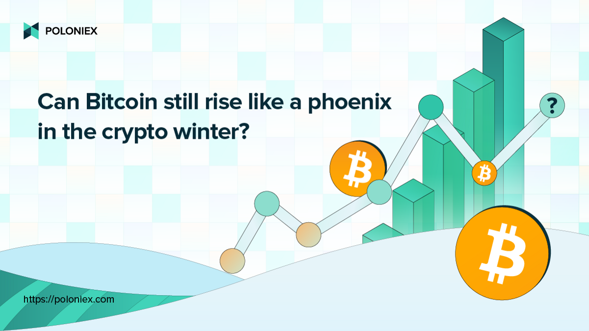 Can Bitcoin still rise like a phoenix in the crypto winter?