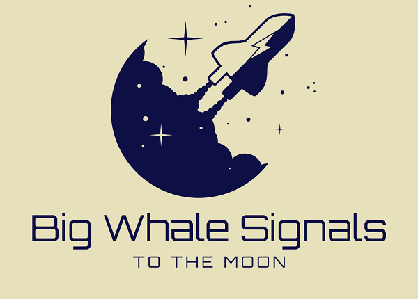 Big Whale Signals